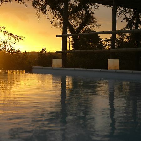 Raices Amambai Lodges Puerto Iguazú Extérieur photo